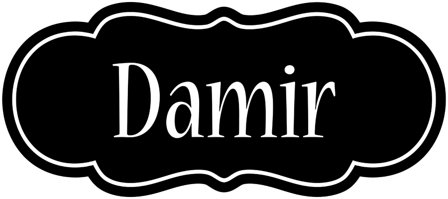 Damir welcome logo