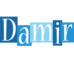 Damir winter logo