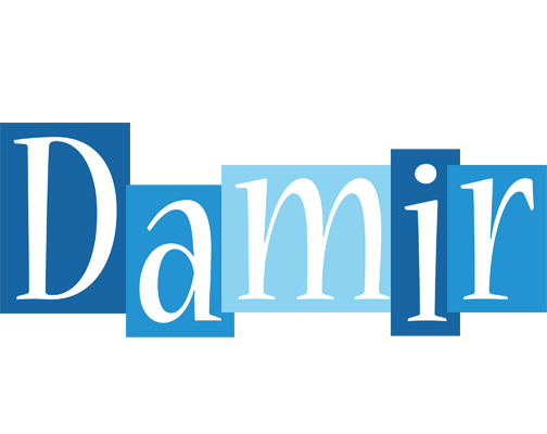Damir winter logo