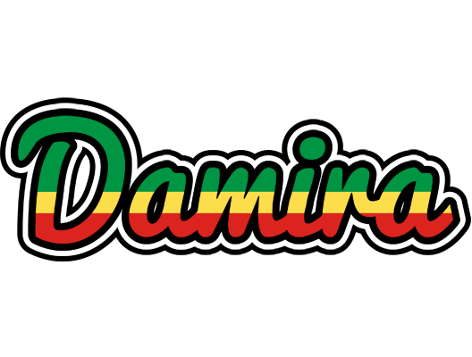 Damira african logo