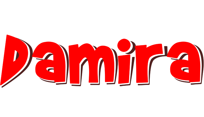 Damira basket logo