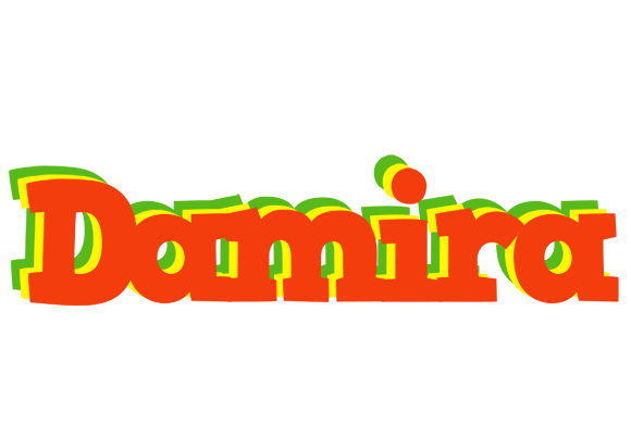 Damira bbq logo