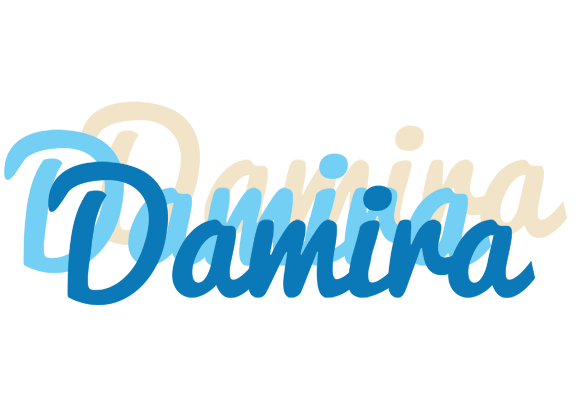 Damira breeze logo