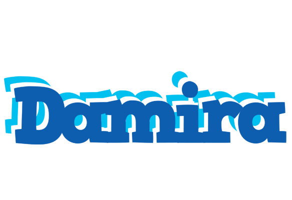 Damira business logo