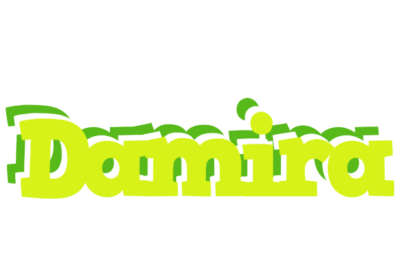 Damira citrus logo
