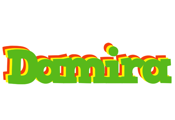 Damira crocodile logo