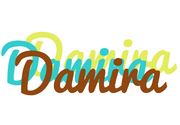 Damira cupcake logo