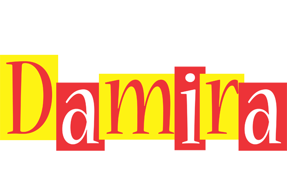 Damira errors logo