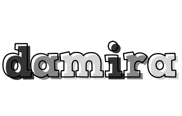 Damira night logo