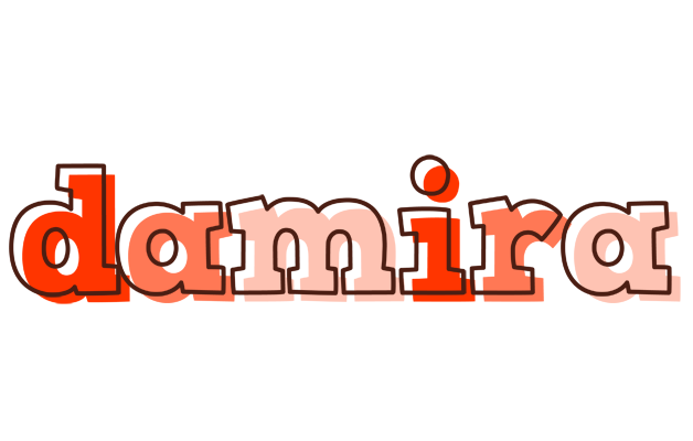 Damira paint logo