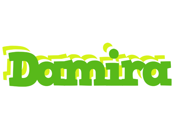Damira picnic logo