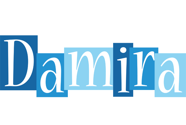 Damira winter logo