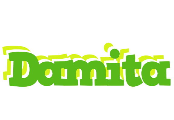 Damita picnic logo