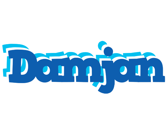 Damjan business logo