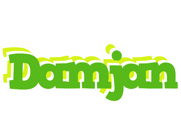 Damjan picnic logo