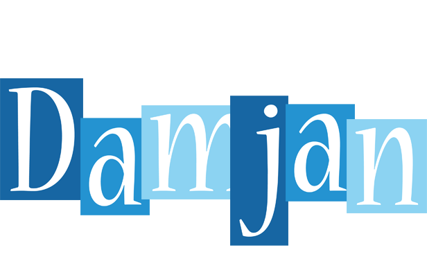 Damjan winter logo