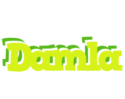 Damla citrus logo