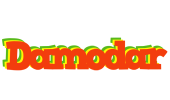 Damodar bbq logo