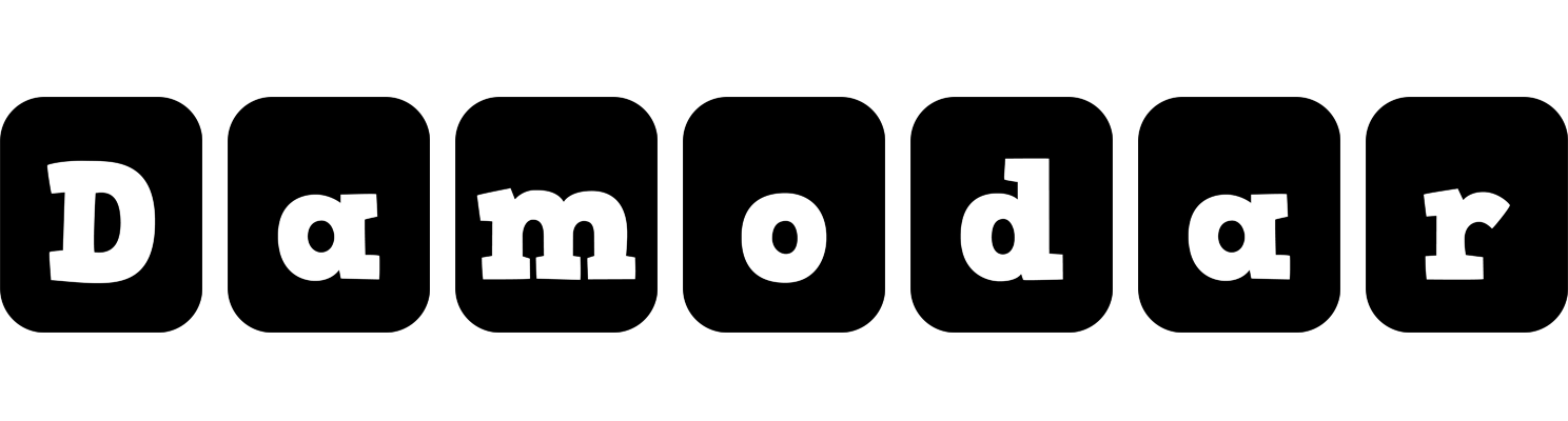 Damodar box logo