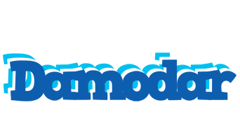 Damodar business logo