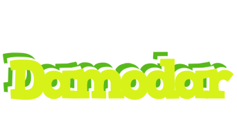 Damodar citrus logo