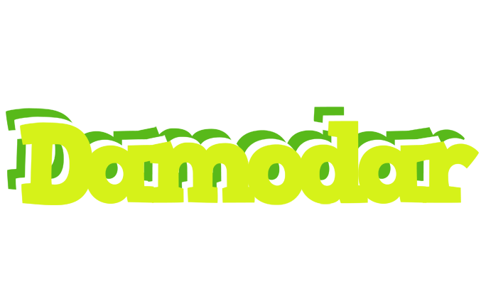 Damodar citrus logo
