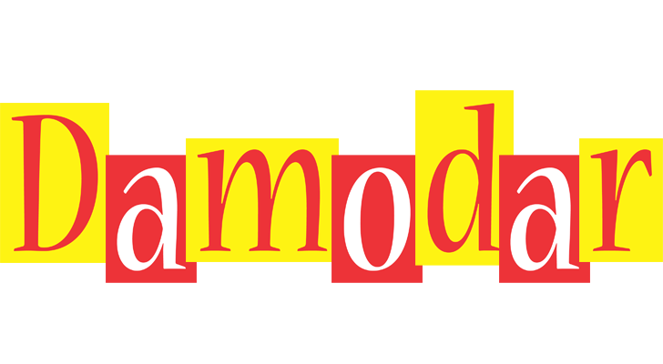 Damodar errors logo