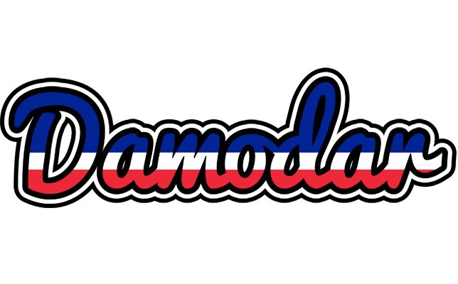 Damodar france logo