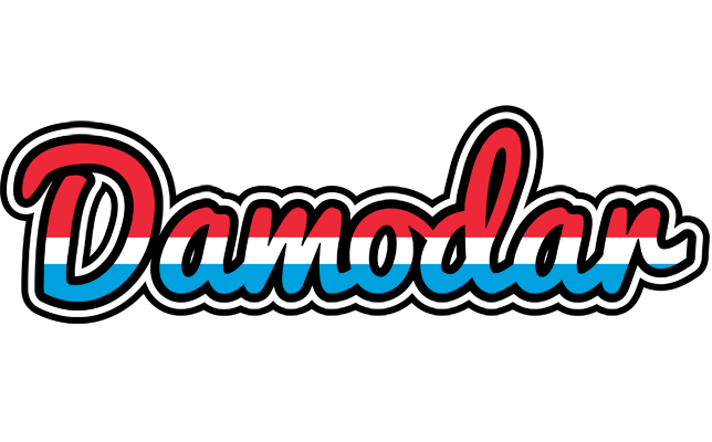 Damodar norway logo