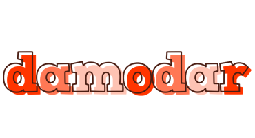 Damodar paint logo