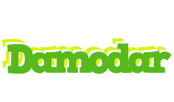 Damodar picnic logo