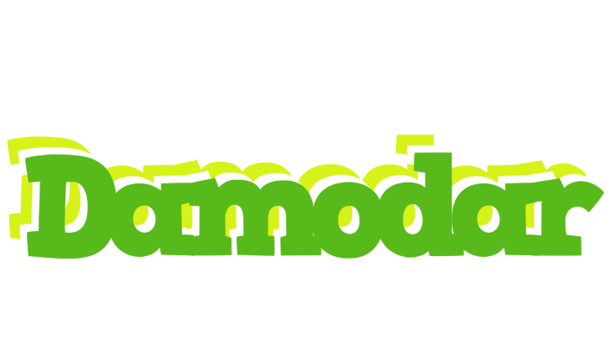 Damodar picnic logo