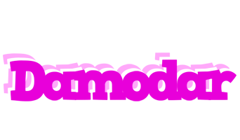 Damodar rumba logo