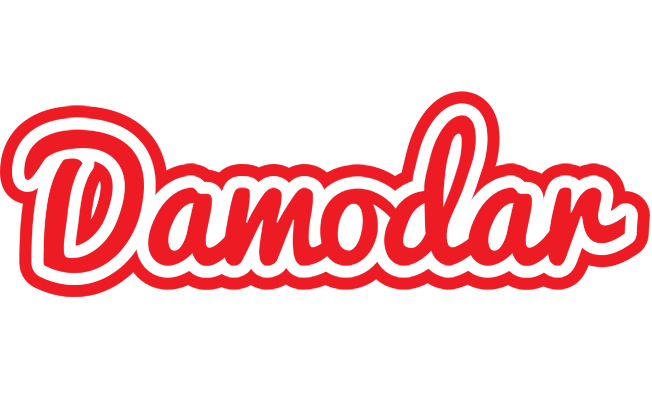 Damodar sunshine logo