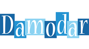 Damodar winter logo