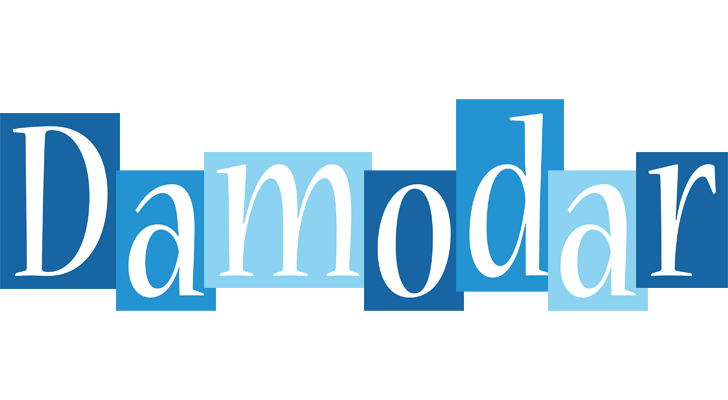 Damodar winter logo