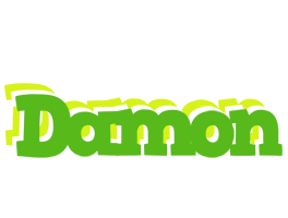 Damon picnic logo