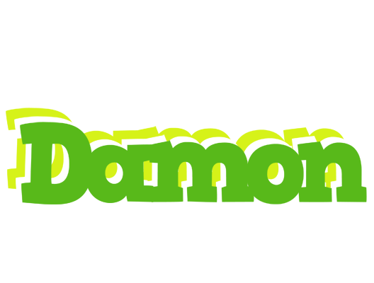 Damon picnic logo
