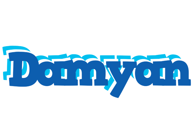 Damyan business logo