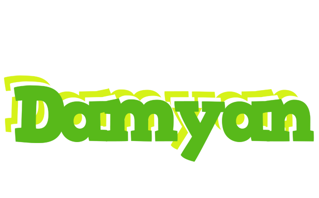 Damyan picnic logo