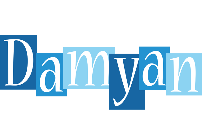 Damyan winter logo