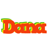 Dana bbq logo