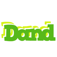Dand picnic logo