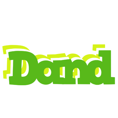 Dand picnic logo