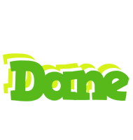 Dane picnic logo