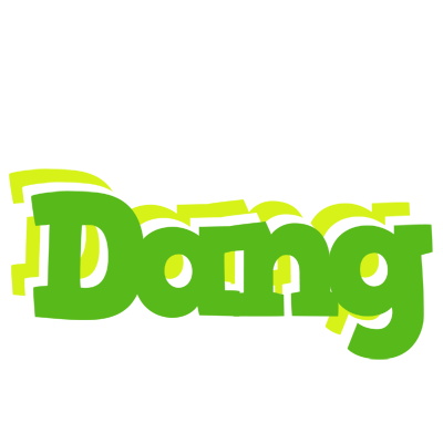 Dang picnic logo