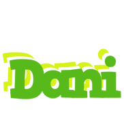 Dani picnic logo