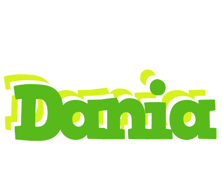 Dania picnic logo