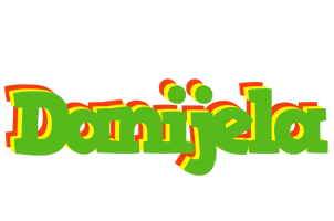 Danijela crocodile logo