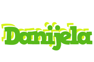 Danijela picnic logo